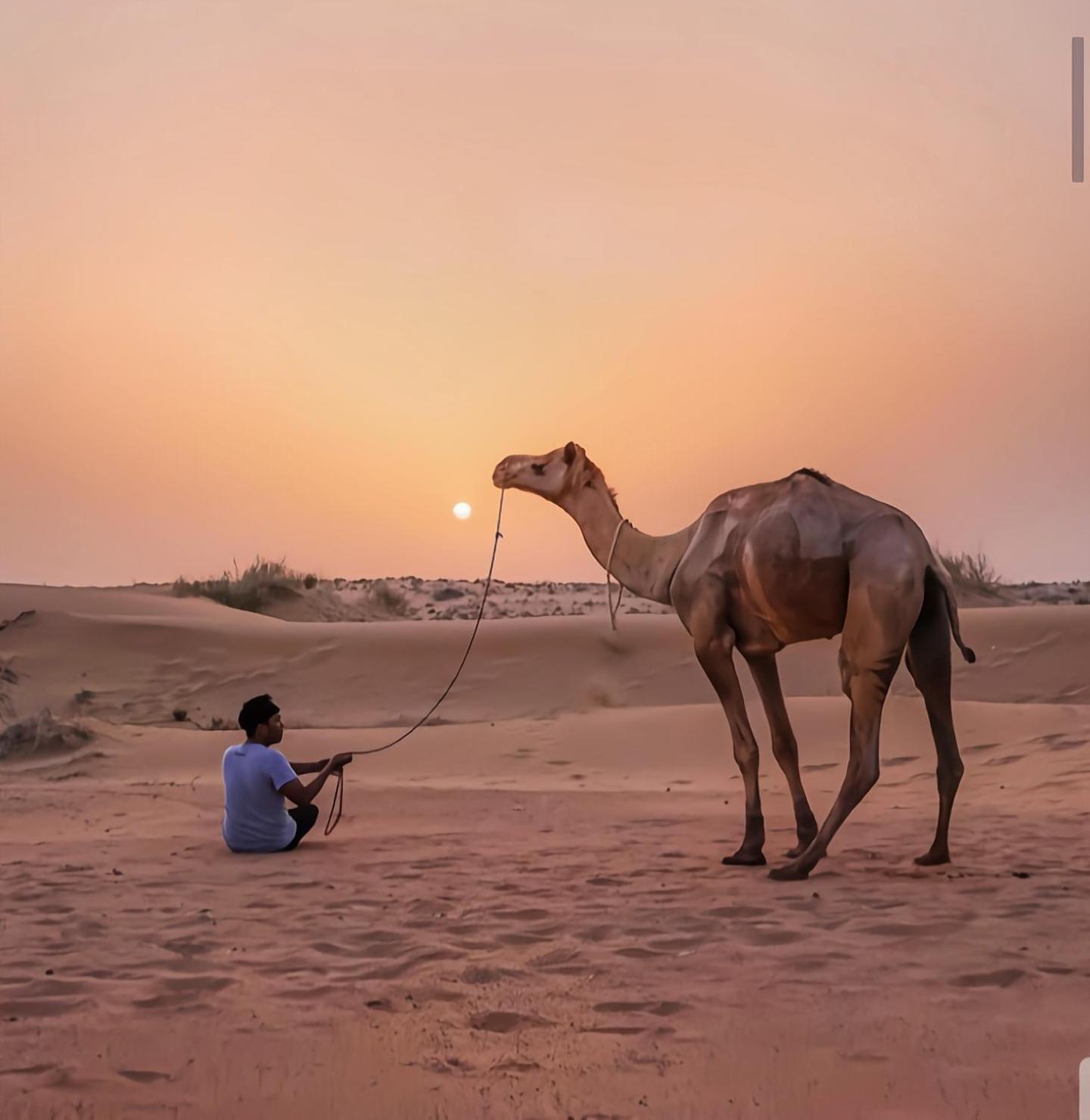 The Saffron Desert Camp Jaisalmer Esterno foto